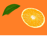 Oranges Developing Studio!