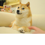 하요