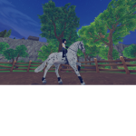 Misty Meadows horse club