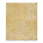 Script-Tech™
