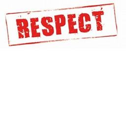 Respect Sonic