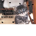 Nonsense Cat/Kitty loves! LOKI