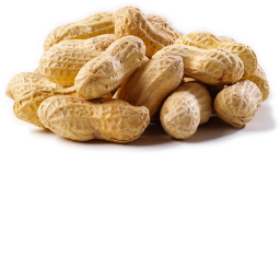The Peanut Resistance Hangout