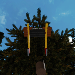 Capture The Flag