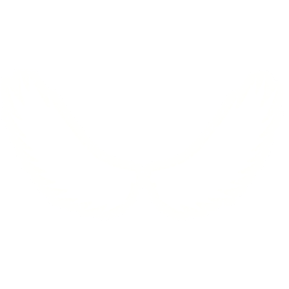 White Glowing Angel Wings (Emissive)