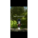 NotNyxRoblox