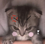 wadawdfaf