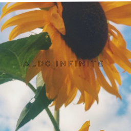 {A-L-D-C INFINITE} Dance Studio