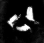 ArixW4