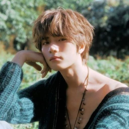 ✧ icon
