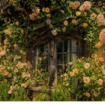 Cottagecore’s Corner