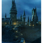 ~Hogwarts fan club~