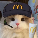 Бшу