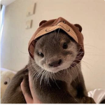 Otters Advertisers