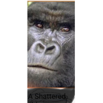 Gorillas united home