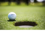 GOLF DIGGERS