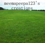 meemapeepa123's creations