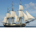 Viva Navy