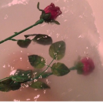 *- the petals x -*