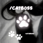 /catboss