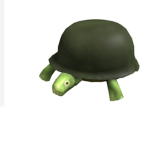 Home of the turtles