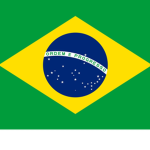 O português brasil