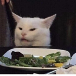 Kᴏᴏʟ ᴋɪᴅs ᴏɴʟʏ