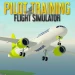 Pilot Training Flight Simulator icon