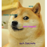 Meme Hub (all day)