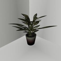 The Normal Office | Modern Update