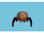 The Headcrab Cult of Nihilanth :|C8|: