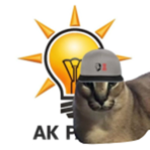 AK Parti (Adalet ve Kalkınma Partisi)