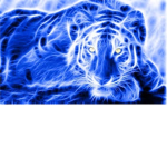 Tigers are Epic