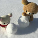 kuma cherries!