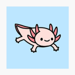 AXOLOTL GRUPO
