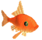 Gold Fish