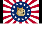 doge america