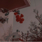 Ana's Antiques