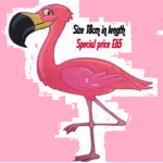 #FLAMINGO