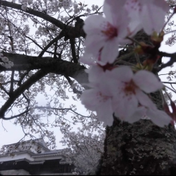 ❀