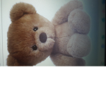 Teddy fans only teddys teddys teddys