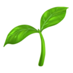 Notes' Plant Balcony