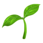 Notes' Plant Balcony Group Thumbnail