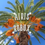 Airis robux