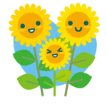 <Lovely Sunflowers>