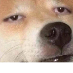 lezff