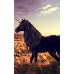 Dark unicorn team
