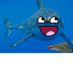 the shark dude army