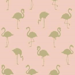 flamingo con !🦩