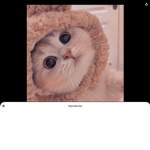 Kittensorkitty
